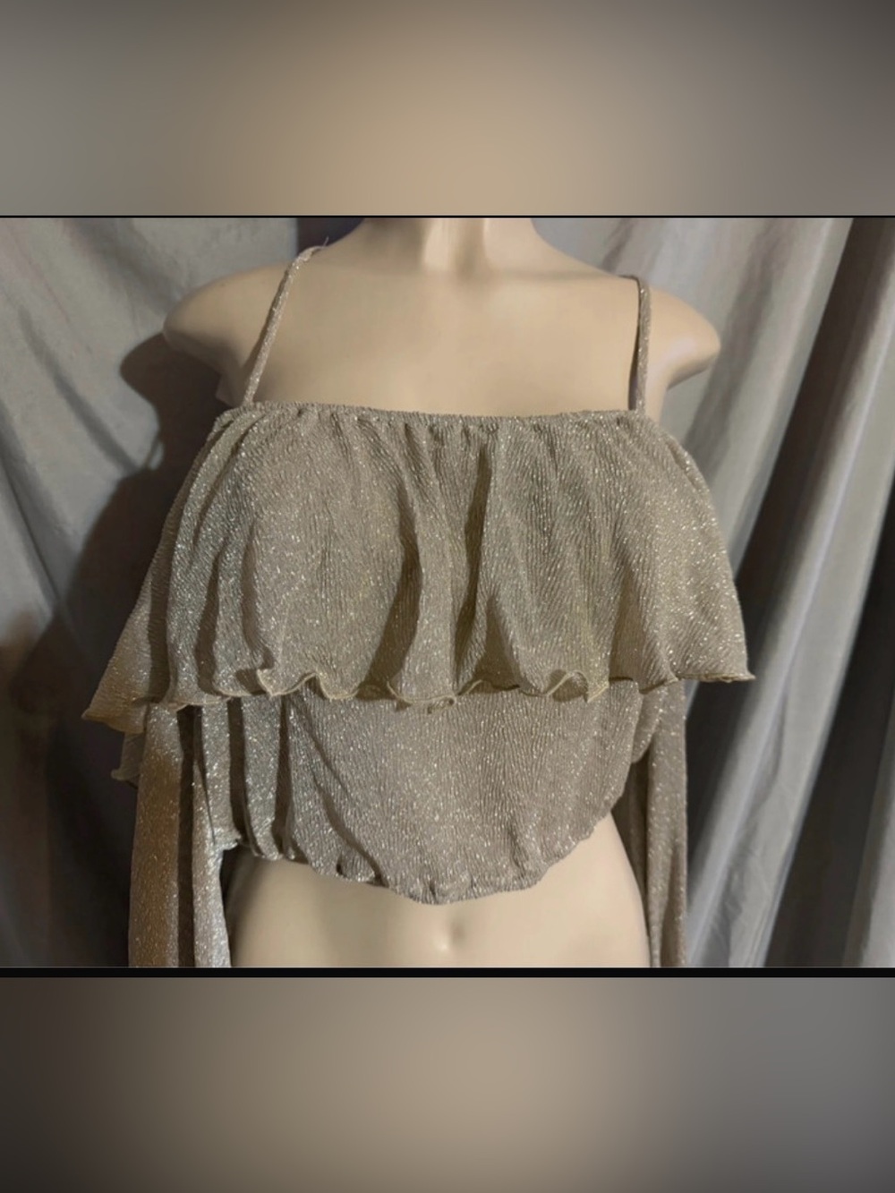 Le Lis Metallic Ruffle Crop Top NWT size M